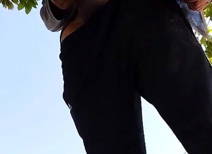 A Normal Day in the Park