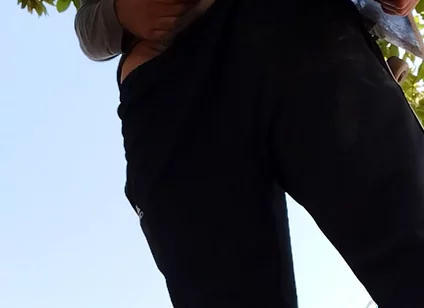 A Normal Day in the Park
