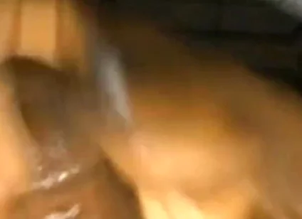 Solo Dick Massage Intense Cumshot