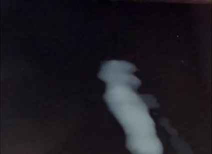 What Does Sperm Experience in Slow Motion?