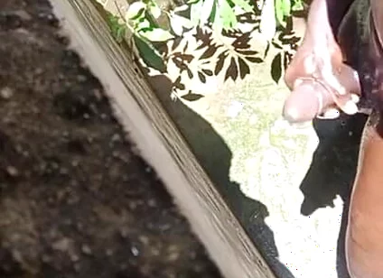 Hot Sunny Day Dick Massage Gone Wild