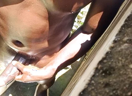 Hot Sunny Day Dick Massage Gone Wild
