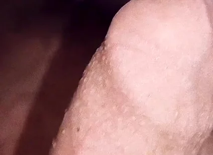Horny Femboy Mastubating Sexy Cock
