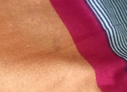 Desi Boy Anal Hole