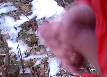 Two-men Cum Contest in December