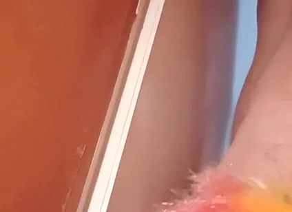 Rainbow Duster