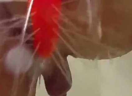Using a Shower Spray Dildo