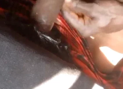 Long Dick Boy Cum on Top of Is Girlfriend Colth