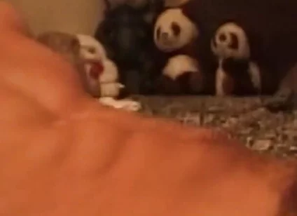Throbbing Cock Deepthroat Gagging Till Drooling Mess