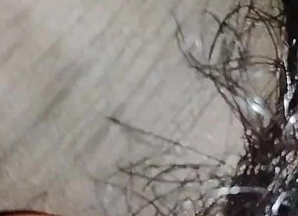 Indian Desi Boy Penis