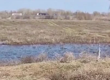 Fuck Me on the Side of the Road, Shove a Big Cock with Cum up My Ass