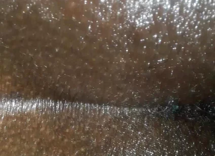 Riding Dick