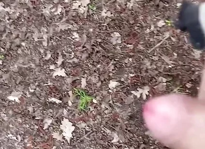 In the Natur #1
