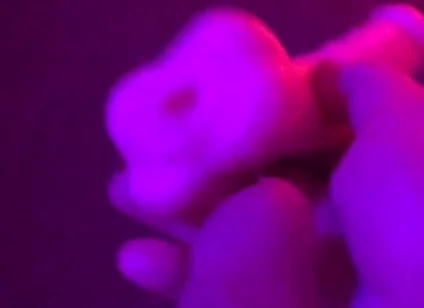 Fun Toy Play
