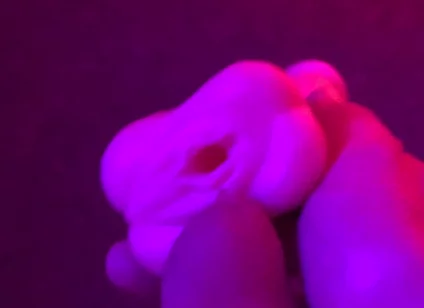 Fun Toy Play