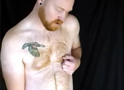 You Like Lookin' at This Fuzzy Ginger Fella?