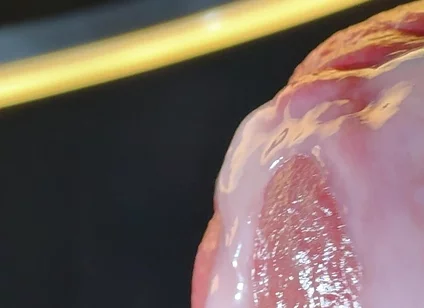 Wet Penis Gets Masturbated