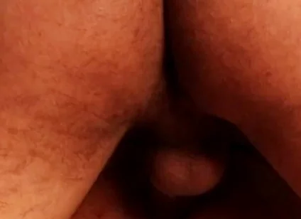 I Wanna Cock