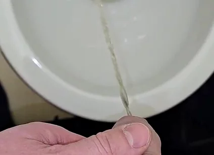 Pissing to the Toilet