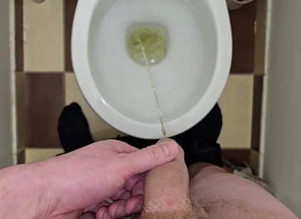 Pissing to the Toilet