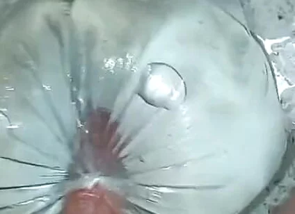 Steamy Bathroom POV Play-shayan Deniz