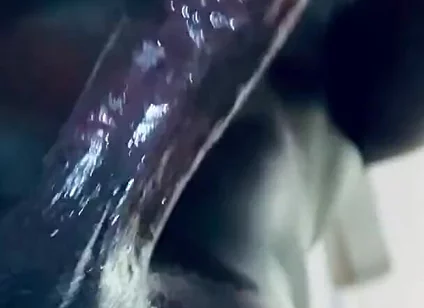BBC Breeding Clock Hard Masturbation