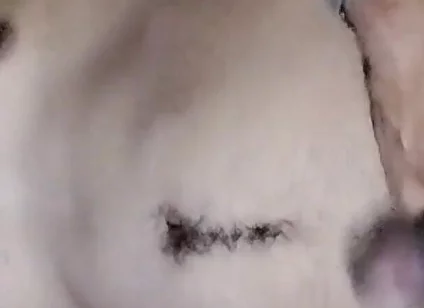 Ass Hole Show