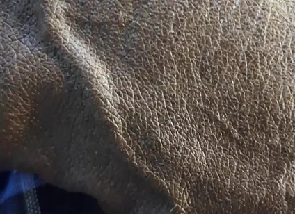 Veiny BBC Flashing