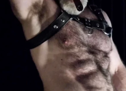 Hairy Muscle Leather Stepdaddy Showing off