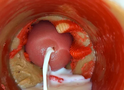 Camera Inside Captures Crempie