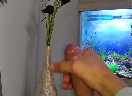 Hot Young Guy Wanks His Nice Big Cock Until He Cums Slowly in Front of the Aquarium