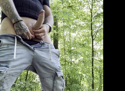 Hot Break in the Forest