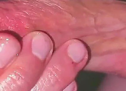 Famous Monster Cock Streamer Forgot His Webcam on