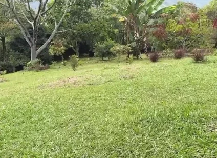 Horny Guy with Glasses Shows You His Morning Erection and Masturbates Outdoors - Andcristian