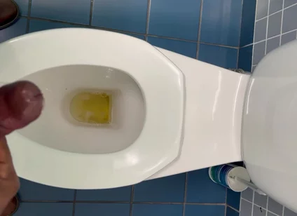 Jerking off in the Office Washroom