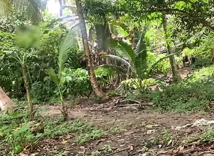 Young Pinoy Twink Jerks off Secretly Outdoors
