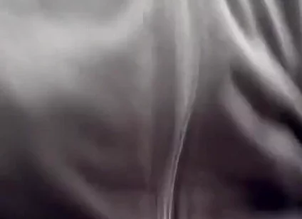 I Gave up Underwear for This.