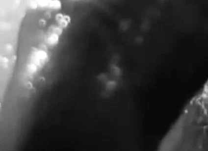 Stylish Compilation of Masturbation Shots - Self Shot Big White Cock and Cum