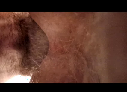 He Wanted to Have His Ass Licked