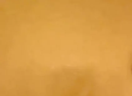 Black Cock Shots