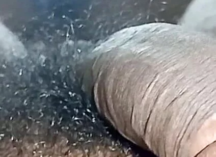 Tamil Wife Horny and Pussy Licking