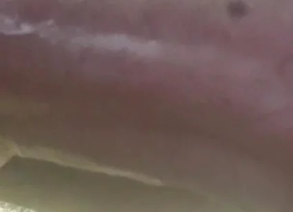 My Cock in a Vacuum