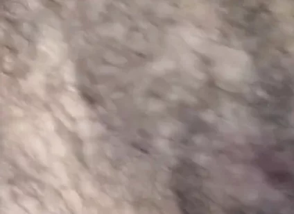 Some Fun Nipple Stuff for Titty Tuesday!
