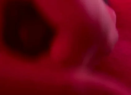 Red Golden Perish Golden Sperm Shot