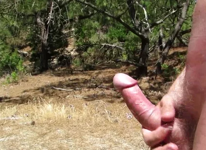 Nude Wank in the Woods and Fields 2