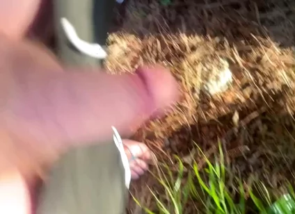 A Redhead Boy Went for a Pee in the Woods and His Friend Followed Him
