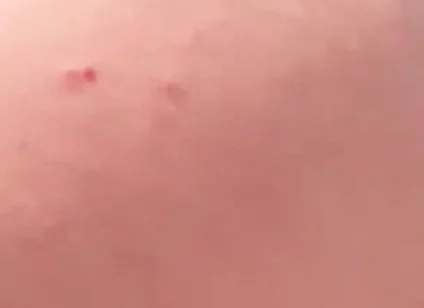 My Big Ass Is Way Better Than a Woman’s, and It Never Gets Pregnant.