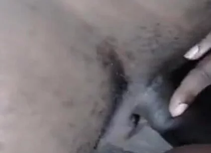 Black Cock