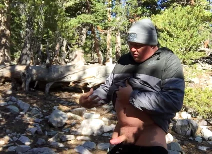 Cumpilation: the Early Years of Westcub86