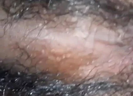 My Ass Is Virgin and Tight